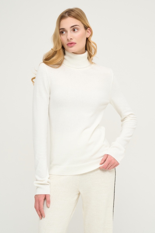 Водолазка базовая с добавлением шерсти и кашемира - G022SZ0TK0R-PELY-TB Кофта жен. (VR071, S)